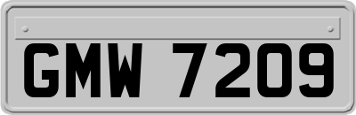 GMW7209