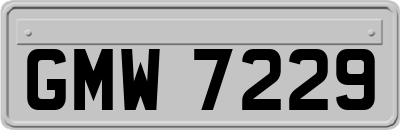 GMW7229