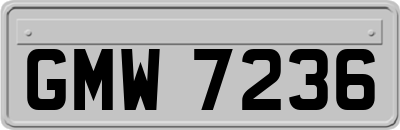 GMW7236
