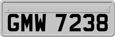 GMW7238