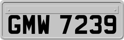 GMW7239