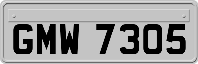 GMW7305