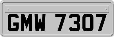 GMW7307