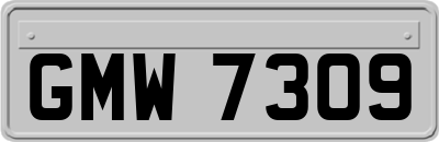 GMW7309