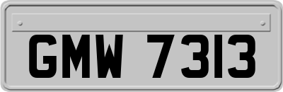 GMW7313