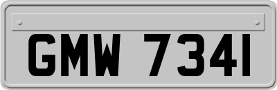 GMW7341