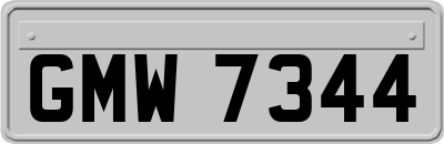 GMW7344