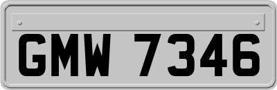 GMW7346
