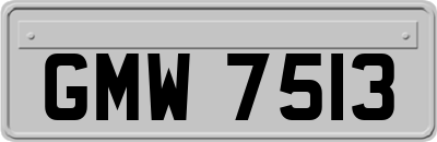 GMW7513