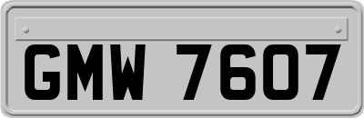 GMW7607