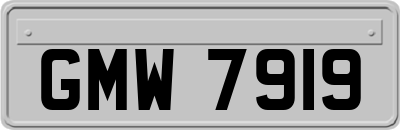 GMW7919