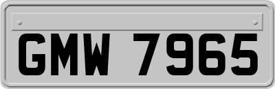GMW7965