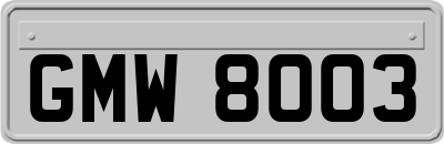 GMW8003