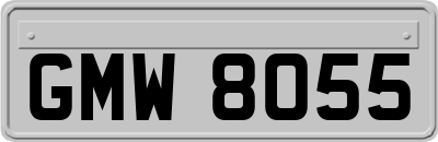 GMW8055