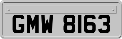 GMW8163