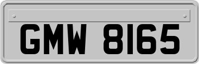 GMW8165