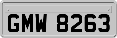 GMW8263