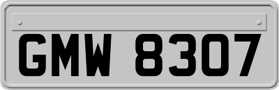 GMW8307
