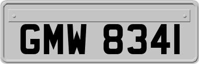 GMW8341