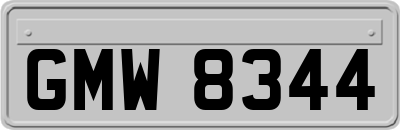 GMW8344
