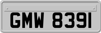 GMW8391