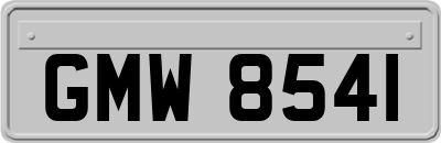 GMW8541