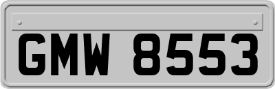 GMW8553