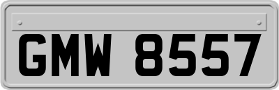 GMW8557