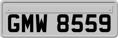 GMW8559