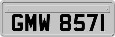 GMW8571