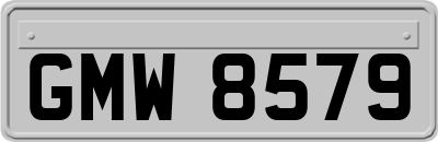 GMW8579