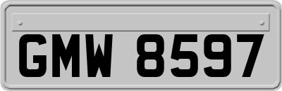 GMW8597