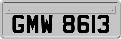 GMW8613