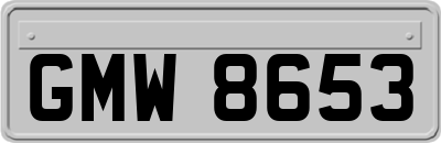 GMW8653