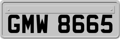 GMW8665