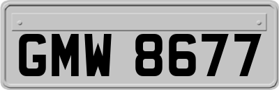 GMW8677