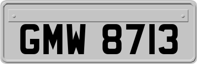 GMW8713