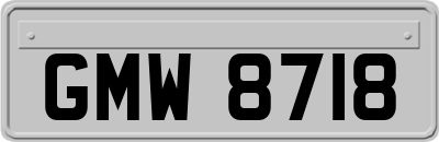 GMW8718