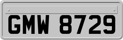 GMW8729