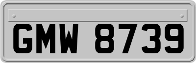 GMW8739