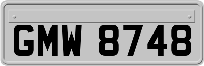 GMW8748