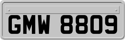 GMW8809