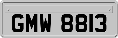 GMW8813