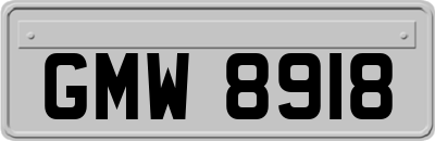 GMW8918
