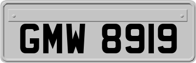 GMW8919