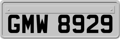 GMW8929
