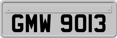 GMW9013