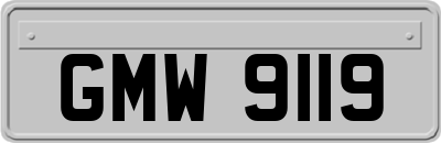 GMW9119