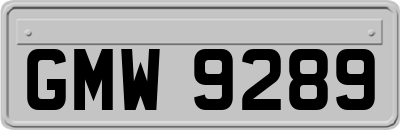 GMW9289