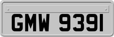 GMW9391